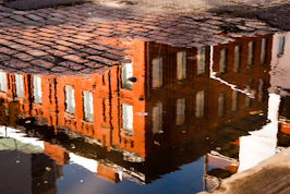 urban reflection